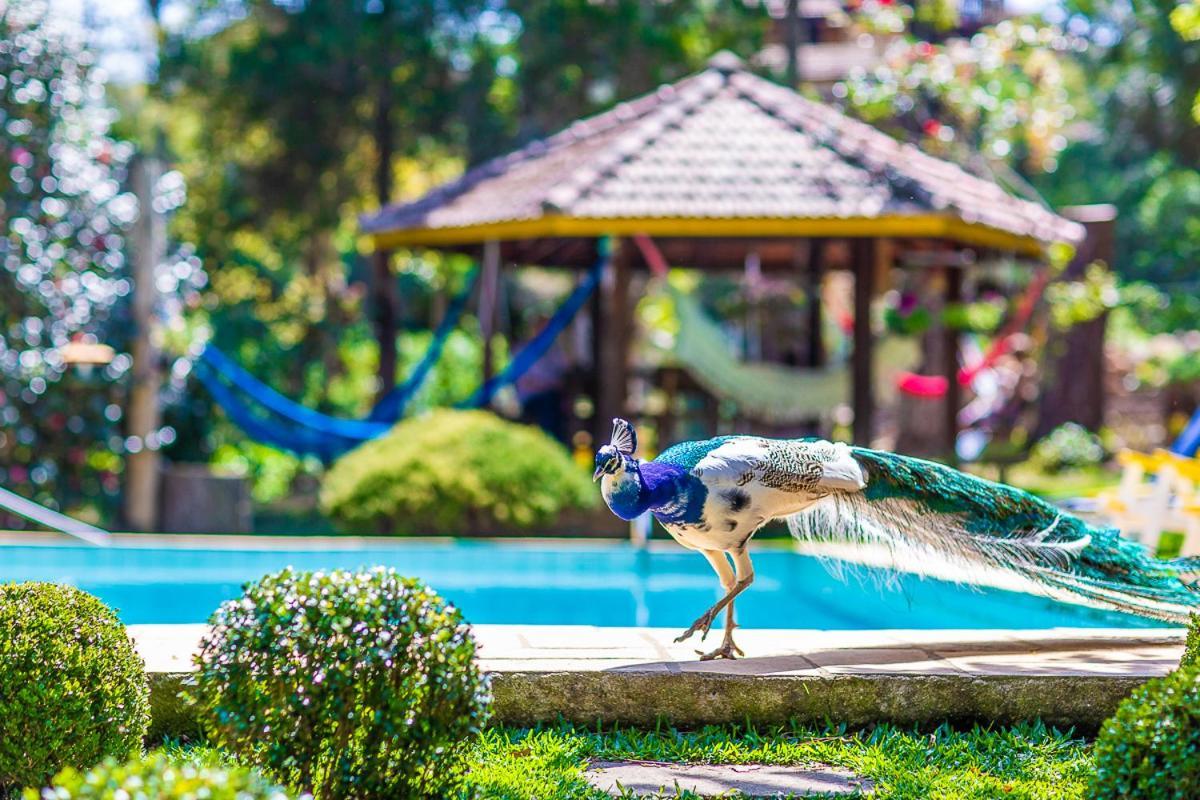 Pousada Villa D'Amore Монте Верде Екстериор снимка