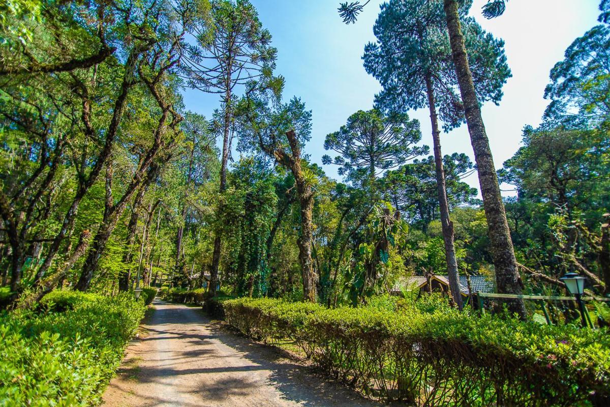 Pousada Villa D'Amore Монте Верде Екстериор снимка