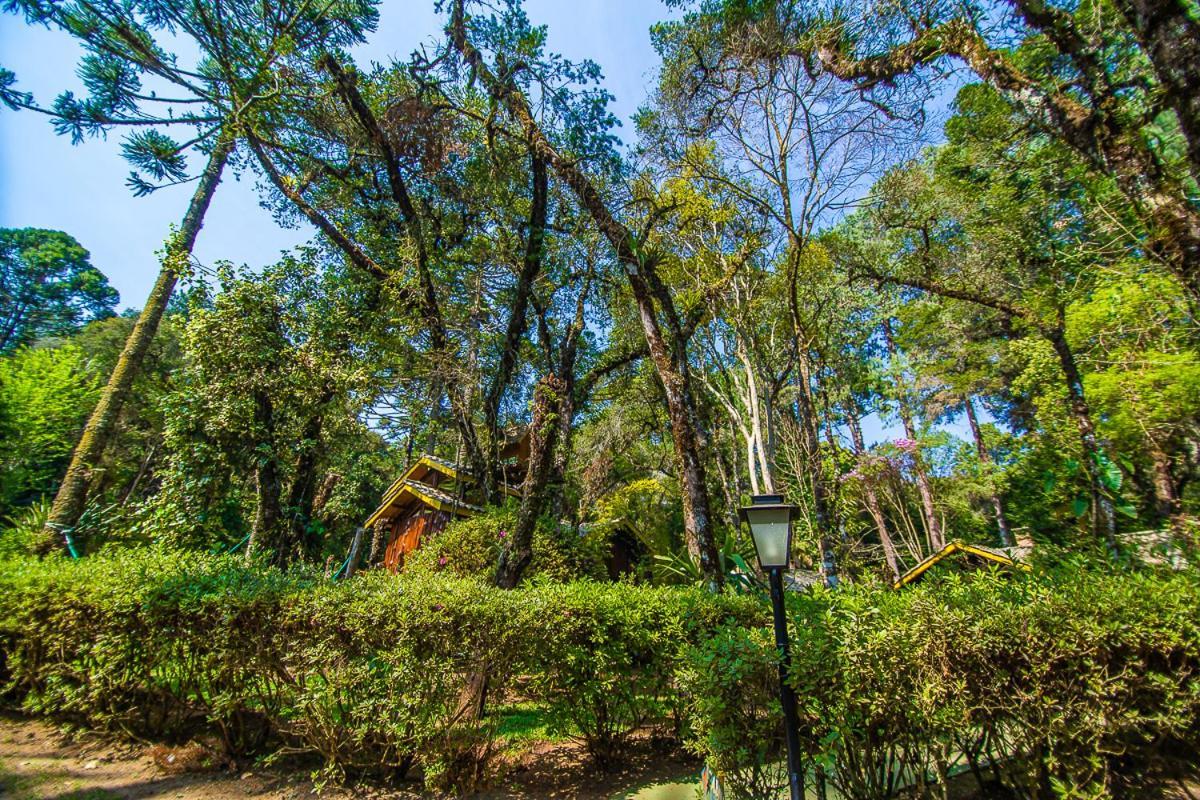Pousada Villa D'Amore Монте Верде Екстериор снимка
