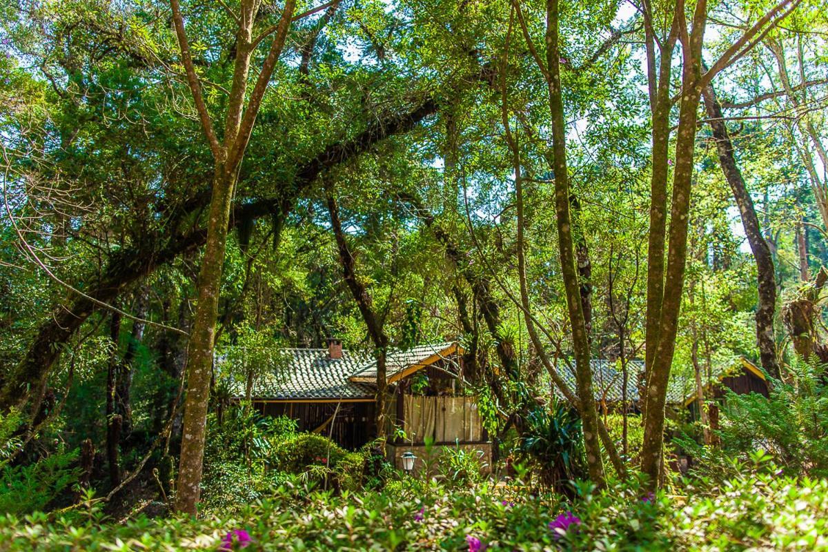 Pousada Villa D'Amore Монте Верде Екстериор снимка